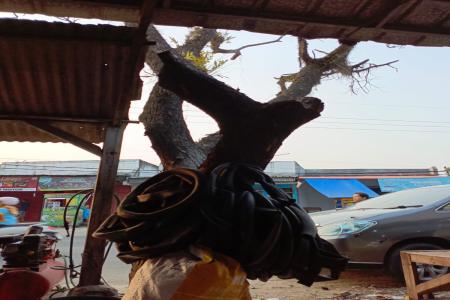 Respon Cepat DLHK Kabupaten Lebak Tind