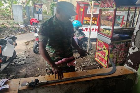 Gerebek Rumah KosongBabinsa sita senja