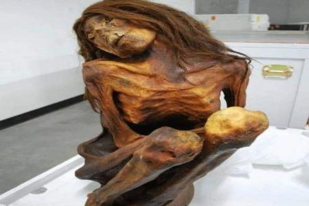 Mumi Dermold merupakan mumi Perempuan 