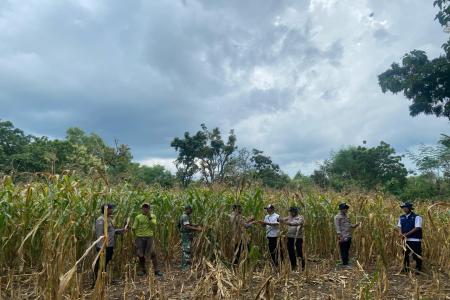Polsek Sapudi dan Koramil Monitoring T
