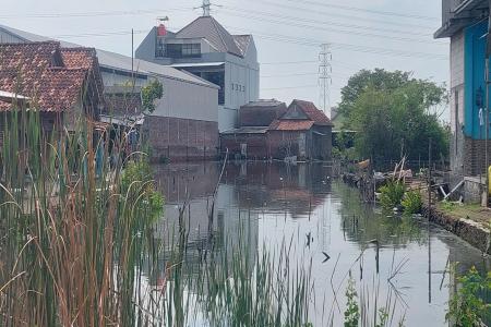 Wilayah Pesisir  Demak Apakah Sudah Me