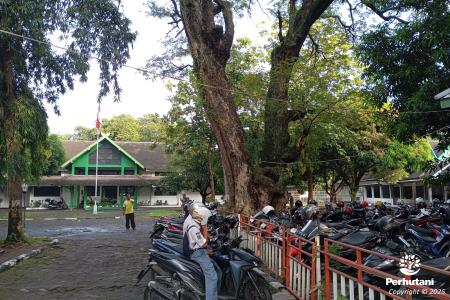 KPH SEMARANG LAKUKAN OPTIMALISASI 