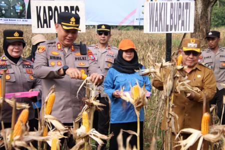 Polres Sumenep Gelar Panen Raya Jagung