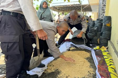 WUJUDKAN KAMPUS HIJAU, RATUSAN CAL