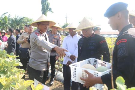 Brimob Polda Jatim Panen Melon dan Sem
