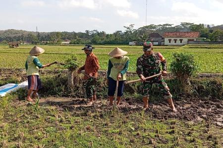 Babinsa Margomulyo Bantu Warga Timbun 